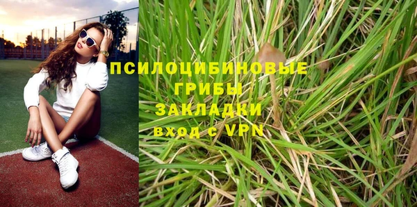 марки nbome Гусев